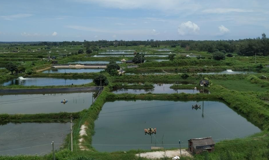 魚塘水質(zhì)分析儀廠家