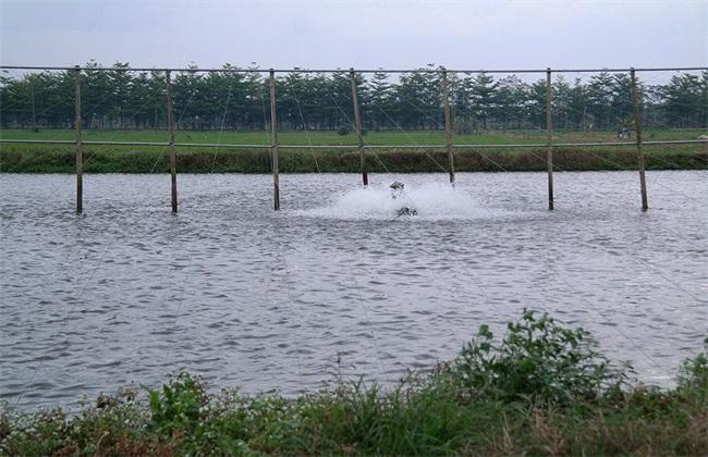 魚塘水質檢測儀